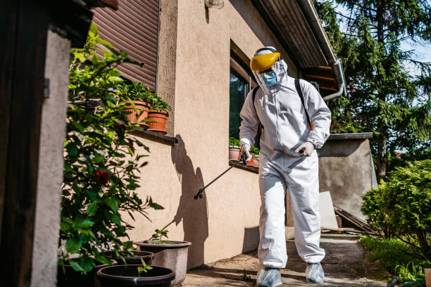 Best Pest Prevention Services  in Natalia, TX